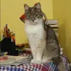 Отзыв от Лариса Николаева